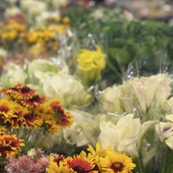 San Francisco Flower Market