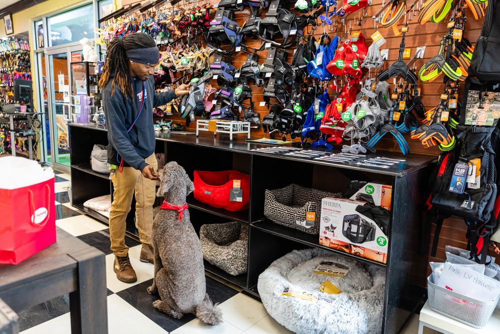 THE PET SET Updated June 2024 510 Photos & 200 Reviews 2480