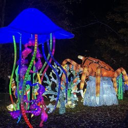 Dragon Lights Reno