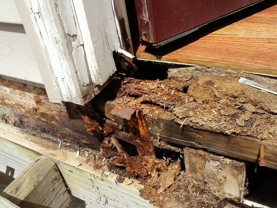 Slide of Craig Can Help