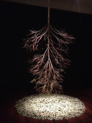 Art Gallery of South Australia by null