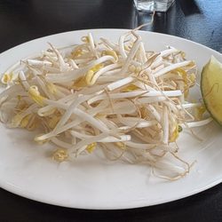 Han Chao, Taste of Asia - Fresh crisp Sprouts & Lime for Pho
