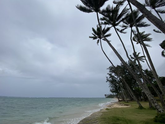 Punaluʻu Beach by null