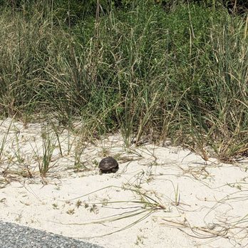 PLAYALINDA BEACH - Updated January 2026 - 191 Photos & 90 Reviews