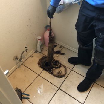 Absolute Plumbing And Rooting - roots on toilet flange - Plumbing Near Me