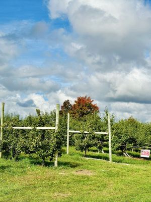 Brooksby Farm by null