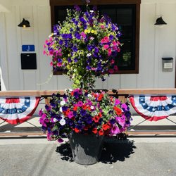 Pioneer Trails Campground - The beautiful flowers next to the office!