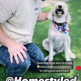 Home Styled Pet Care - Pet Sitting Near Me