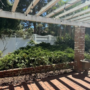 David Bahena Yard, Tree, and Home Services - Previous hedge - Landscaping Near Me David Bahena Yard, Tree, and Home Services - Previous hedge - Landscaping Near Me