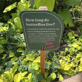 Butterfly Wonderland - Botanical Gardens Near Me - Scottsdale, Arizona