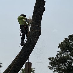 Deep Creek Tree Care