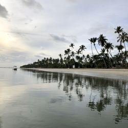 Praia dos Carneiros