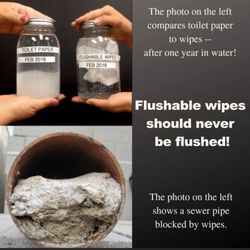 DoneRite Plumbing & Drain