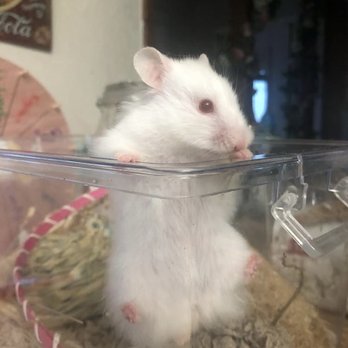 Secondhand Pet Supply - Pet Stores Near Me - Portland, Oregon Secondhand Pet Supply - Pet Stores Near Me - Portland, Oregon