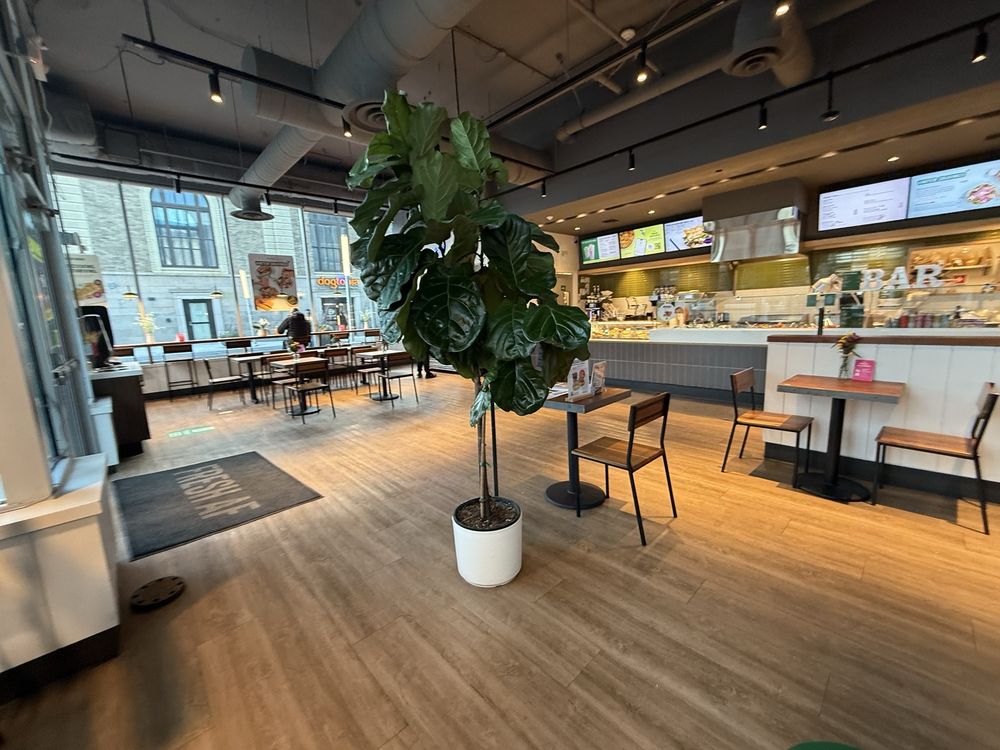 fresh&co