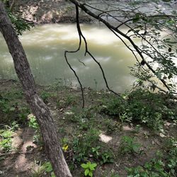 Limestone Quarry Park - Can you spot him?