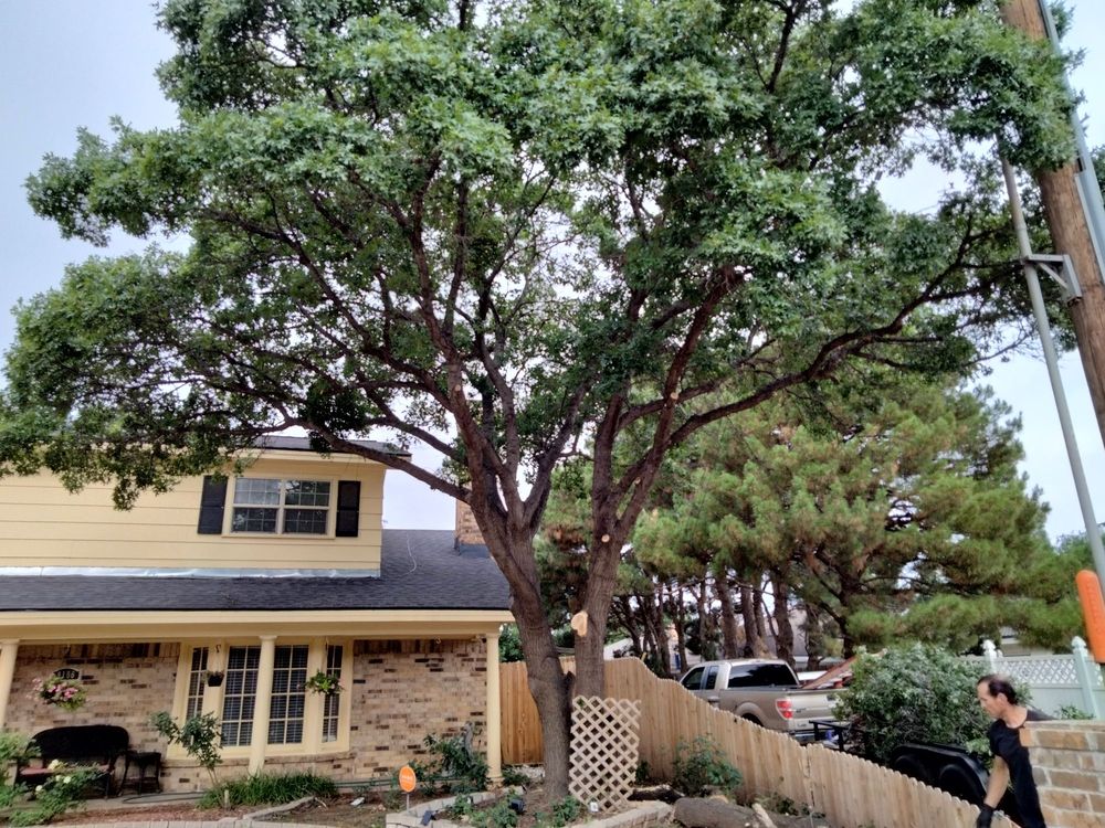 Slide of True Care Services