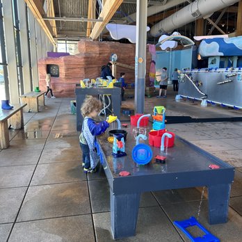 MUSEUM OF NATURAL CURIOSITY - Updated January 2026 - 156 Photos & 100