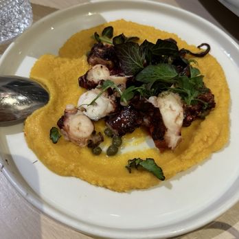 Zaytinya - Octopus santorini - Greek Near Me - Washington, DC, District of Columbia
