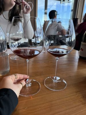 Domaine Roy & fils by null