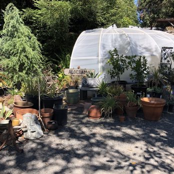 Greenman Nursery - Nurseries & Gardening Near Me - Sebastopol, California Greenman Nursery - Nurseries & Gardening Near Me - Sebastopol, California