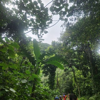 El Yunque Rainforest - Hiking Near Me - Luquillo, Puerto Rico El Yunque Rainforest - Hiking Near Me - Luquillo, Puerto Rico