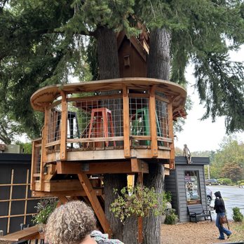 Aroma Coffee - Seating area up on the treehouse. - Coffee & Tea Near Me - Fall City, Washington Aroma Coffee - Seating area up on the treehouse. - Coffee & Tea Near Me - Fall City, Washington