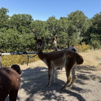 D'Jango Hill Farm - Ranches Near Me - Carmel Valley, California