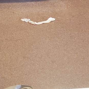 Waffle House - Raw bacon on floor. - New American Near Me - Bay Saint Louis, Mississippi Waffle House - Raw bacon on floor. - New American Near Me - Bay Saint Louis, Mississippi