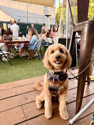 Wheat & Water by null