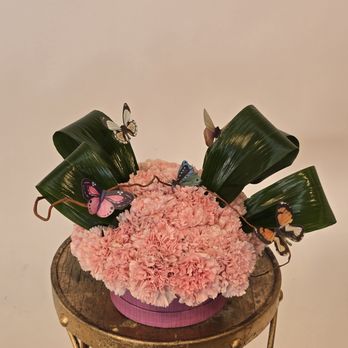 Bethpage Florist - Carnations - Florists Near Me - Bethpage, New York Bethpage Florist - Carnations - Florists Near Me - Bethpage, New York