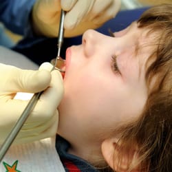 Allman Kevin C, DDS