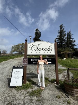 Sarah's Vineyard by null
