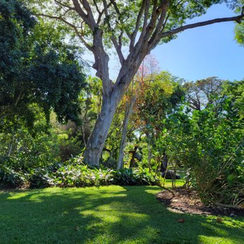 Foster Botanical Garden - So green and beautiful - Botanical Gardens Near Me - Honolulu, Hawaii