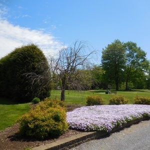 PIONEER HILLS GOLF COURSE Updated June 2025 19 Reviews 3230