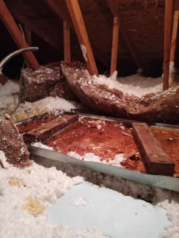 Slide of Handyman Plus