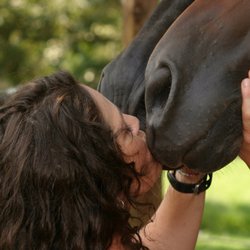 Charlotte Equestrian Club