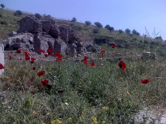 Ephesus Ancient City by null