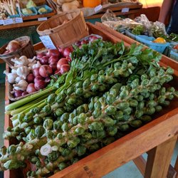Whistling Thistle Farmstead