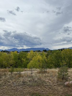 Staybridge Suites Colorado Springs North by IHG by null