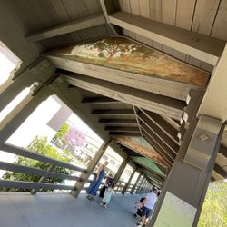 Picture Bridge
