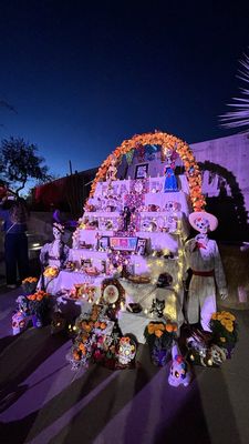 Springs Preserve by null