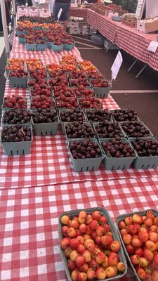 Salem Saturday Market by null