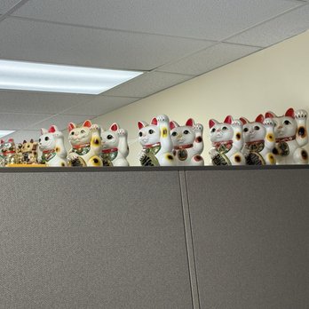 In Control Diabetes Learning and Resource Center - His collections of good luck cats given to Kevin over the years. I gave the smaller ones. - Health & Medical Near Me - Honolulu, Hawaii In Control Diabetes Learning and Resource Center - His collections of good luck cats given to Kevin over the years. I gave the smaller ones. - Health & Medical Near Me - Honolulu, Hawaii