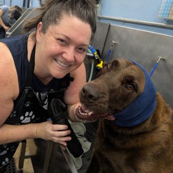 Sham-Paws Self Serve Dog Wash - Having a blow dry. - Pet Groomers Near Me - Placentia, California Sham-Paws Self Serve Dog Wash - Having a blow dry. - Pet Groomers Near Me - Placentia, California