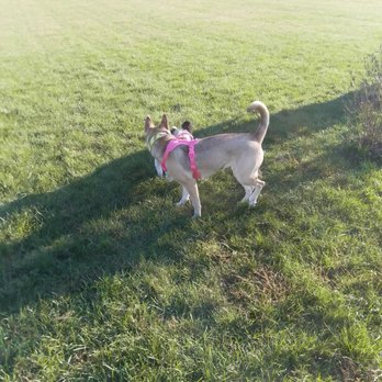 Meadow Run Dog Park - Pet Groomers Near Me - Kalamazoo Township, Michigan