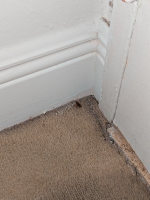 Seacoast Suites by null