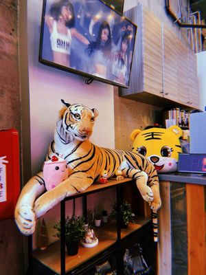 TIGER SUGAR by null