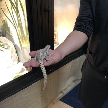 EcoVivarium - Museums Near Me - Escondido, California EcoVivarium - Museums Near Me - Escondido, California