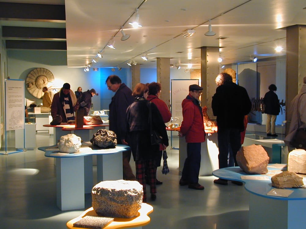 Museum d'Histoire Naturelle de Tours